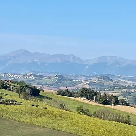 Campeggio Boschetto Natural Village *