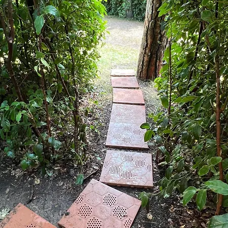 Boschetto Natural Village Campeggio