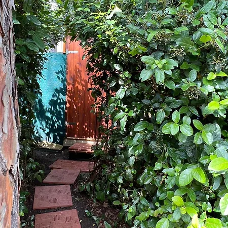 Boschetto Natural Village Monte San Giusto