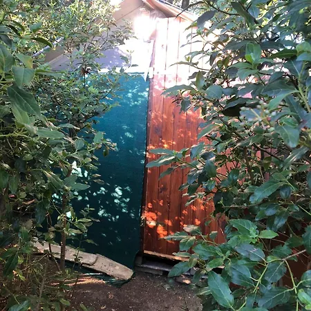 Campeggio Boschetto Natural Village